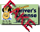 Fake Driver's License