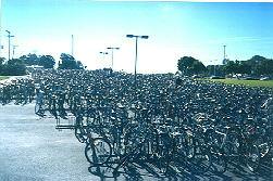 Isla Vista Bicycle Parking